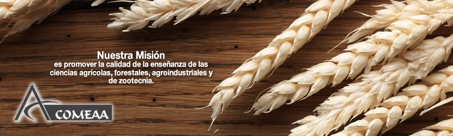 mision