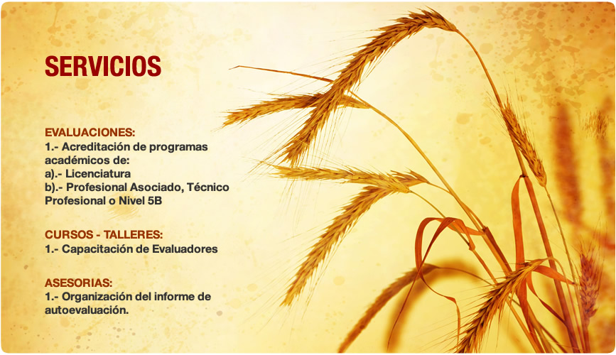 servicios